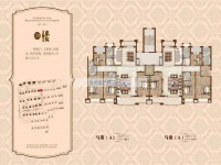 戶型圖