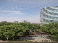 其它圖